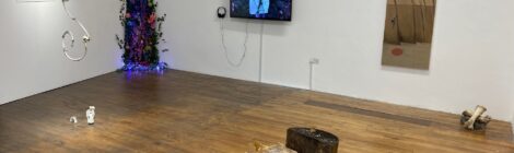 IADT Student Shows at Pallas Projects/Studios 2024